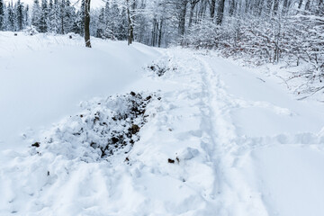 Fototapeta na wymiar Zerwühlter Winter Waldweg
