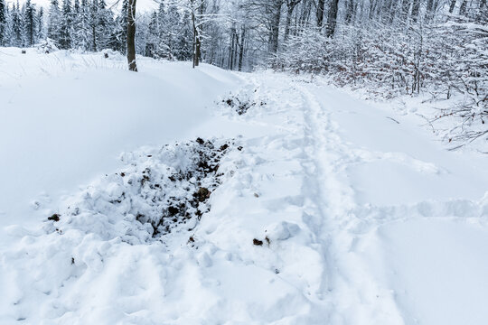 Zerwühlter Winter Waldweg