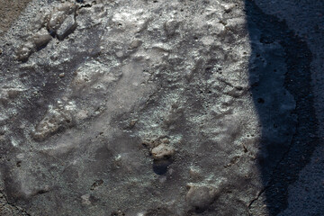 Frozen puddle of water in the street on the pavement.