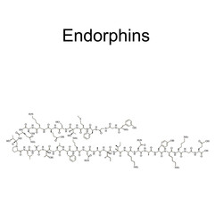 Endorphins hormone. Mood hormone endorphins molecular chemical formula. Vector illustration