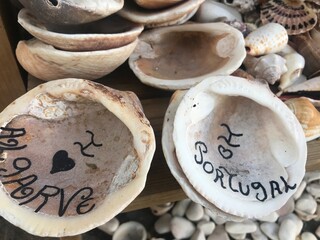 essen, weiß, clay, tonware, mushroom, champignon, isoliert, keramik, geld, gegenstand, mushroom, frisch, makro, natur, close up, kunst, vegetarier, gemüse, braun, topf, roh, piter, auflösungszeichen, 