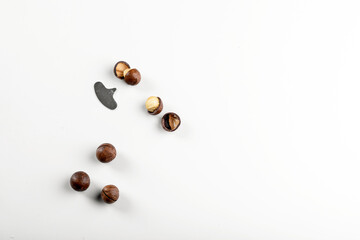Macadamia nut on a white background. Macadamia nut oil. Peeled macadamia nut.