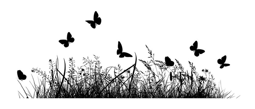 Abstract background with black silhouettes of meadow wild herbs and flowers. Wildflowers. flying butterflies. Hello summer. Floral background. Wild grass. Vector illustration.