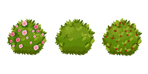 Spring bush, shrub green garden cartoon hedge set with green leaves, flower blossom,berries. Summer landscape nature cartoon objects collection isolated on white. Spring round bush plants floral icons