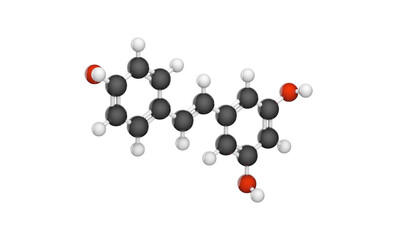 Molecular structure of resveratrol - antioxidant and potential chemopreventive activities. C14H12O3. Chemical structure model: Ball and Stick. 3D illustration. Isolated on white background.