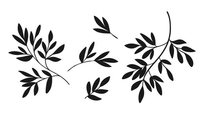 Vector silhouette of branches with leaves isolated on a white background. Floral black elements for decoration