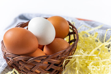 country selected chicken egg 