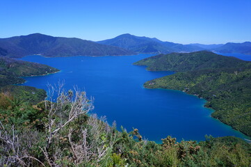 Fototapeta na wymiar View on bay with beautiful blue water in south island in New Zealand