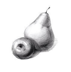 fruit sketch of an apple and a pear delicious still life