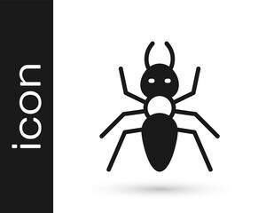 Black Ant icon isolated on white background. Vector.