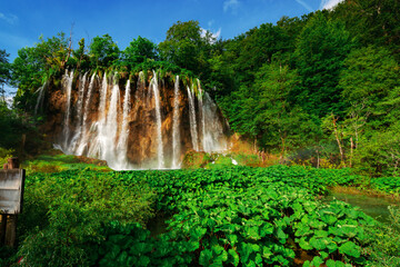 Fototapety na wymiar - Fototapeta24.pl