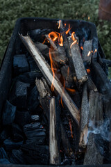 May and grilled meat
