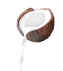 Coconut milk pouring out of coconut fruit isolated on white background.