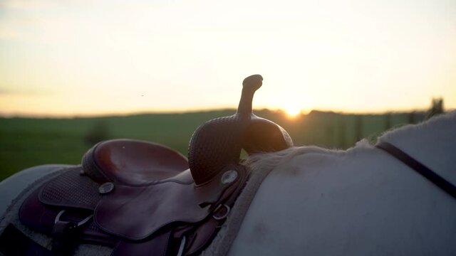 Slow-motion shot of a saddled horse with a low sunset behind.