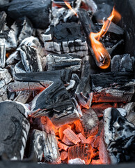 Obraz premium May and grilled meat