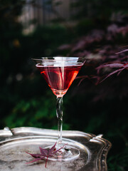 Red cocktail on a background of maple leaves