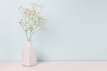 Gypsophila flower in vase in front of blue background. Delicate springtime composition with copyspace.