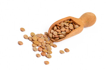 Green lentil on the white background