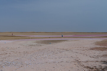 Pink lakes red color in Oman, caused by the presence of algae that produces carotenoids, Dunaliella salina