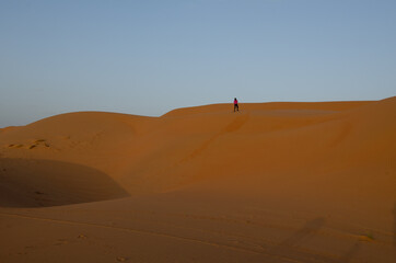 Sands of the desert at wahiba, arabic landscape, sand dunes and forms at sunset