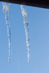 Naklejka na ściany i meble Closeup icicles background. Icicles hanging down from a roof. Cold weather, winter season