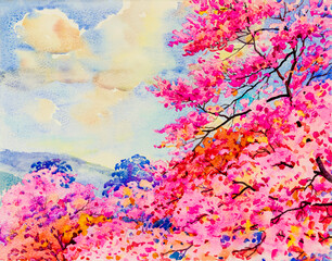 Fototapeta na wymiar Painting watercolor of Wild Himalayan cherry flowers in Thainland.