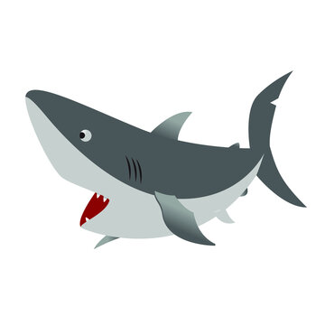 cartoon style gray shark with sharp teeth