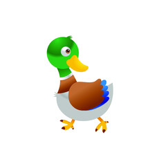 green duck cute yellow beak green head suitable for design and print in all media, vector cartoon design