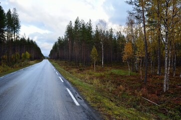 Fototapeta na wymiar road through colorful autumn forest