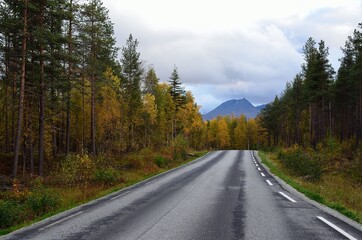 road through colorful autumn forest