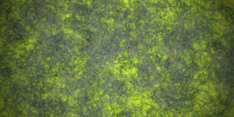 abstract fractal colorful brown rust bronze coffee sand marbled stone wall concete cement grunge image paint background bg texture wallpaper art frame sample illustration board