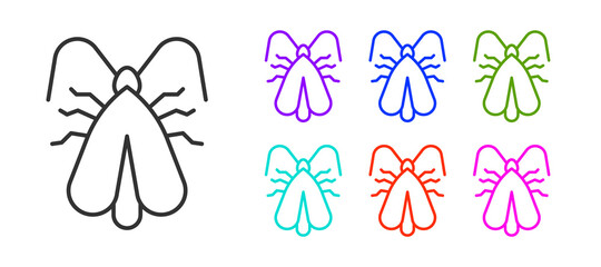 Black line Clothes moth icon isolated on white background. Set icons colorful. Vector.