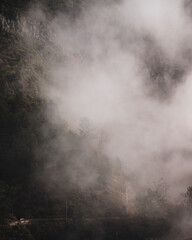 Fog in the Mountains