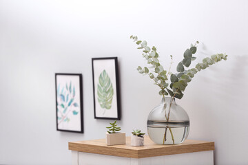 Vase with fresh eucalyptus branches on cabinet in room. Interior design