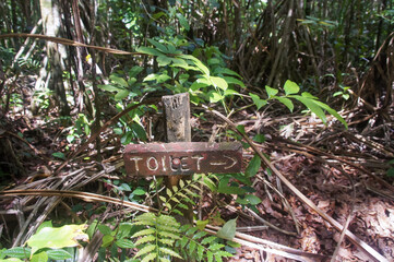 Signboard toilet in Colo-i-Suva rain forest national park, nature reserve near Suva, Viti Levu island, Fiji, Melanesia, Oceania.