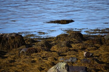 rocks and water