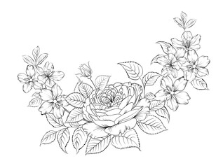 Floral bouquet on white background. Vector illustration.