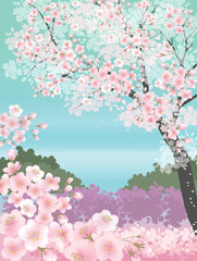 Obraz na płótnie Canvas Vector illustration of spring landscape with cherry trees in full bloom. Design for social media, party invitation, Print, Frame Clip Art and Business Advertisement and Promotion