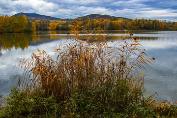 still life on the shore of the pond