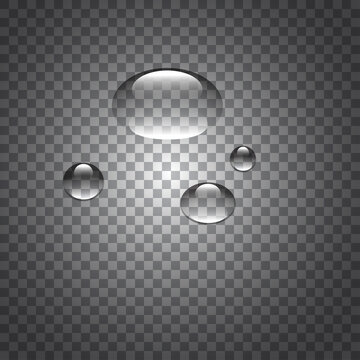 Vector illustration of a transparent background with the many waterdrops.