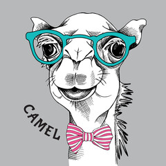 Camel portrait in a green glasses with tie. Vector illustration.