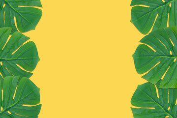 Monstera leaves summer on yellow background. Copy space concept and top view