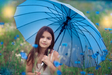 girl in a white dress with an umbrella in hand on a cornflower-blue field. summer day