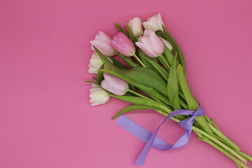 bouquet of pink and white tulips on the pink background