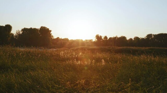 [4k] slow motion of warm meadow near river rhein in sunset