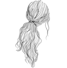 Low plaited, wavy, boho style, ponytail hairstyle vector illustration - 410619602