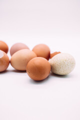 Brown and white chicken eggs on white background