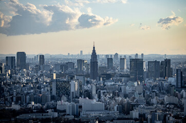 Fototapeta premium 夕方の新宿の街並み