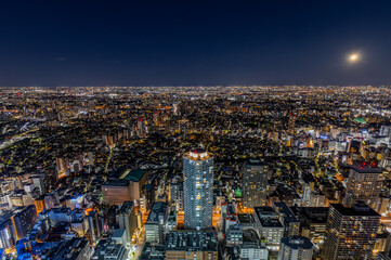 高所からの東京の夜景