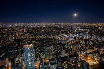 Obraz premium 高所からの東京の夜景